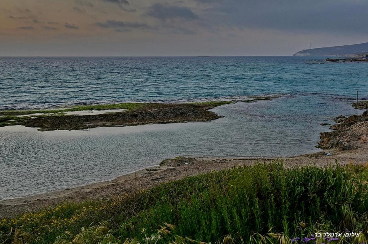 Yam Achziv Daire Nehariya Dış mekan fotoğraf