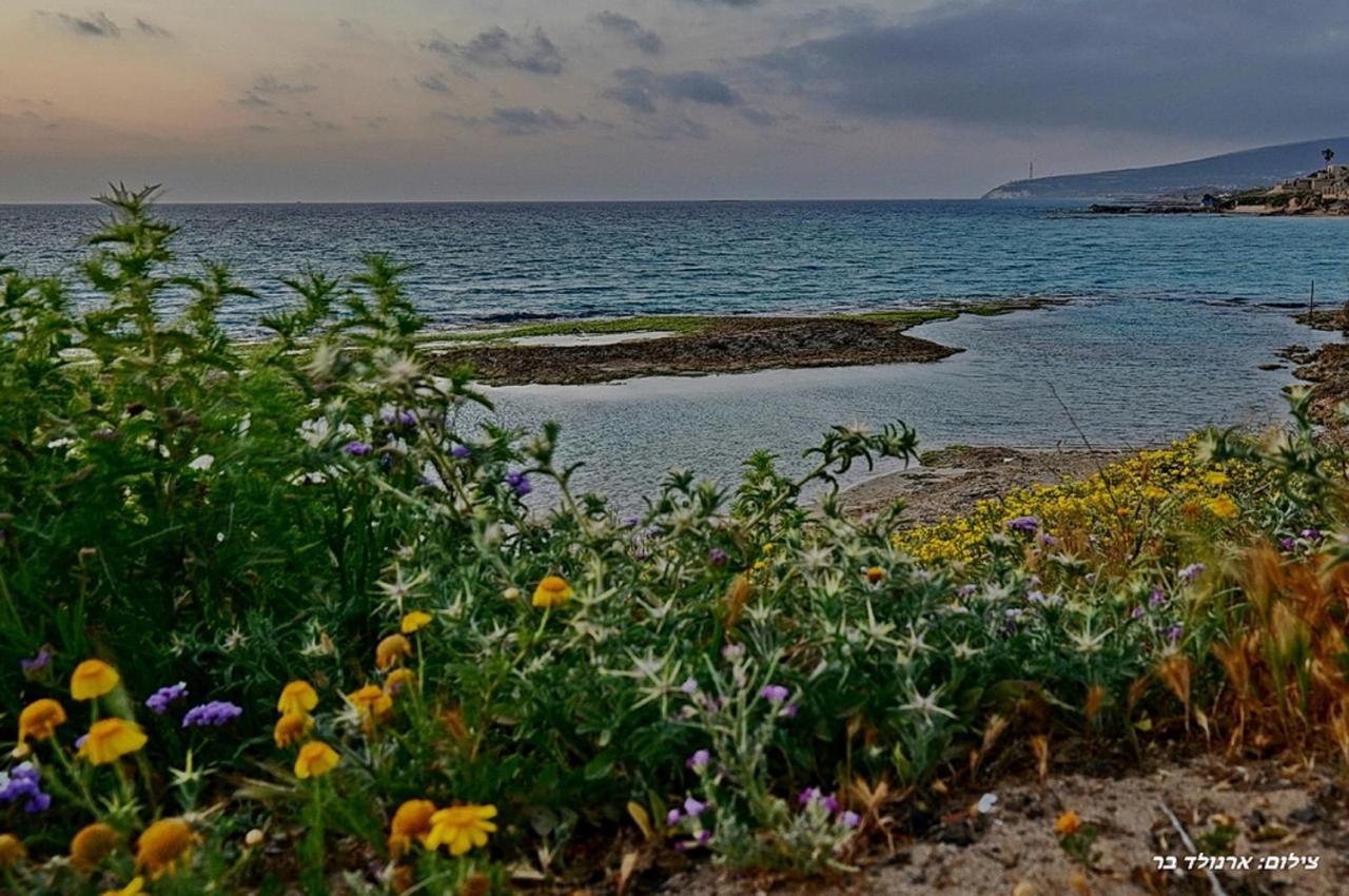Yam Achziv Daire Nehariya Dış mekan fotoğraf